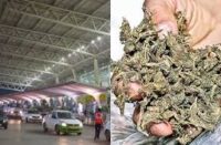 சென்னைக்கு ரெயிலில் கஞ்சா கடத்தி வந்த வாலிபர் கைது