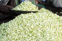 ஒரு கிலோ மல்லிகைப்பூ 4000 ரூபாய்.. அதிர்ச்சியில் பொதுமக்கள்..!